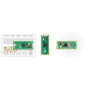 Raspbery PI Pico series
