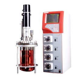 Bioréacteur fermenteur autoclavable : FerMac 320