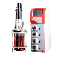 Bioréacteur fermenteur autoclavable : FerMac 320