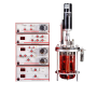 Bioréacteur fermenteur autoclavable : FerMac 200