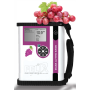 Analyseur infrarouge Brix, pH et acidité titrable pour raisins/vendanges : F-751R