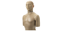 Simulateur de Tête et de Torse