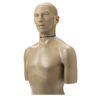 Simulateur de Tête et de Torse